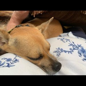 Meet your Posher, Kim